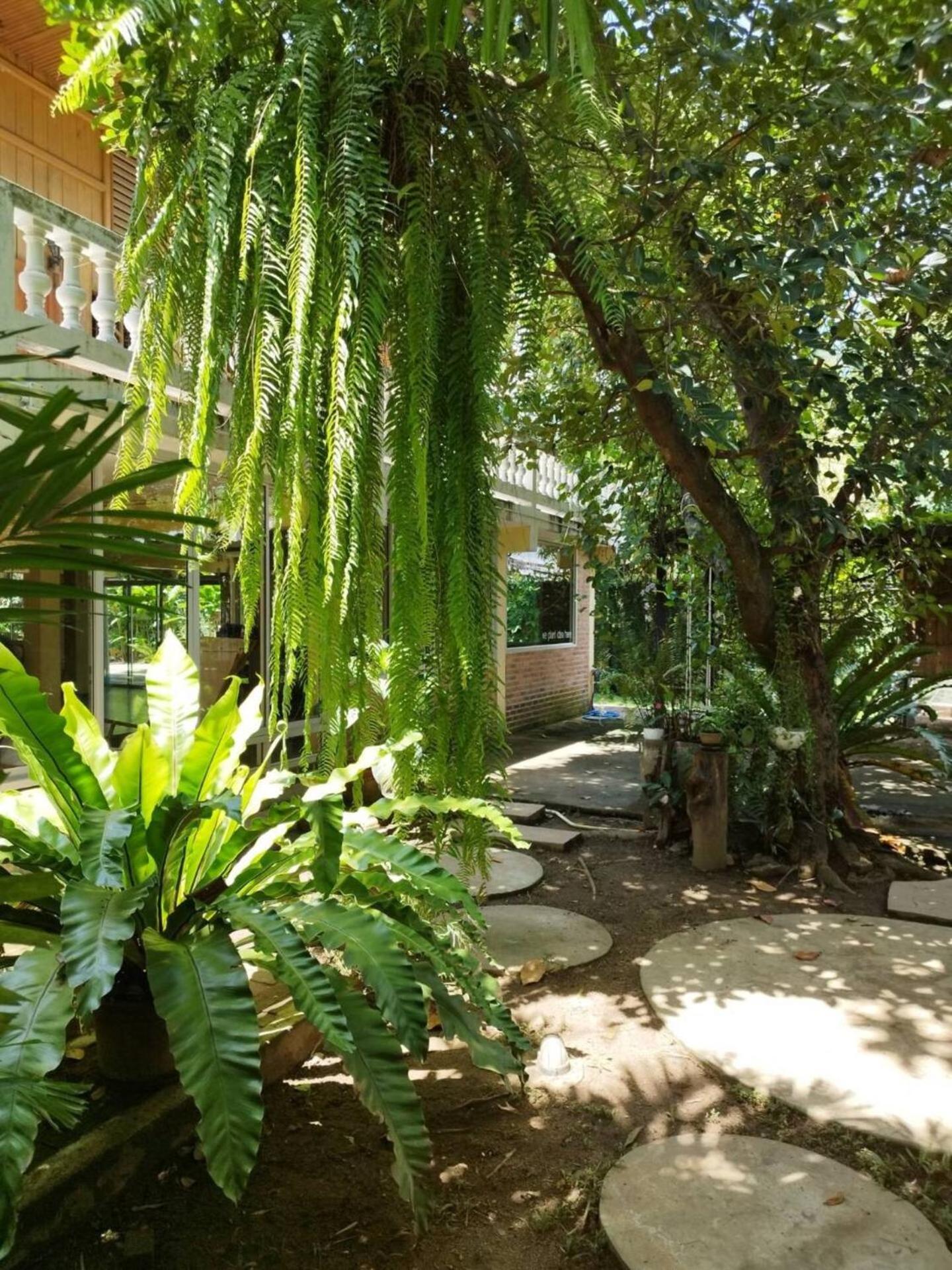 Atelier 36 Hotel Chiang Mai Eksteriør billede